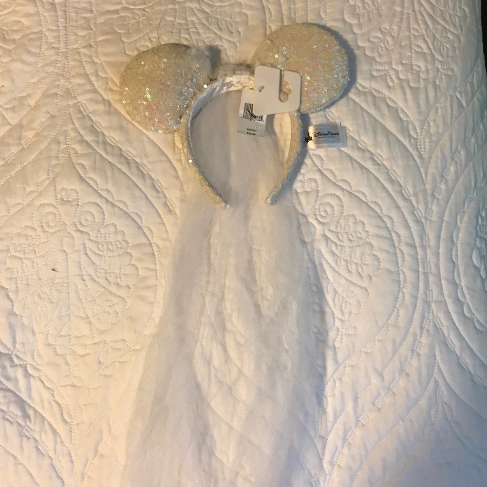 Mickey ears
